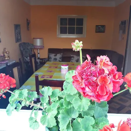 La Casa De Colores דירה *